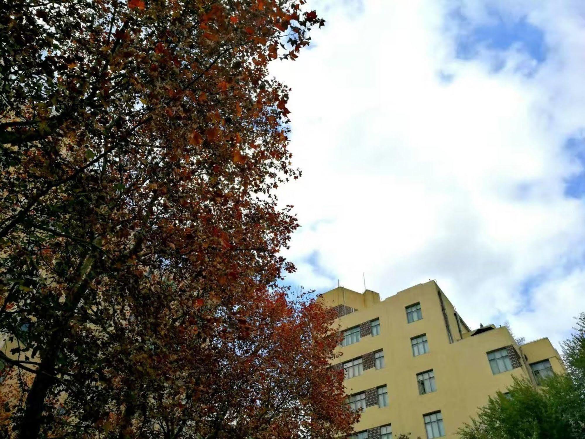 @ Gallery Suites Σανγκάη Εξωτερικό φωτογραφία
